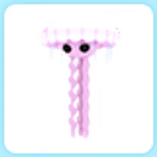 Jellyfish
