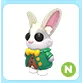 N Mr. Whiskerpips