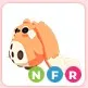 NFR Cabbit