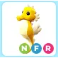 NFR Seahorse