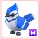 M Blue Jay