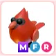 MFR Red Cardinal