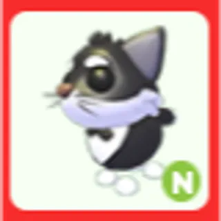 N Tuxedo Cat