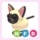 nfr siamese cat