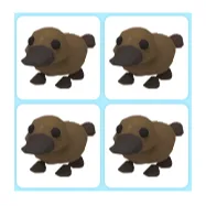 4x Platypus