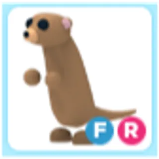 FR Meerkat