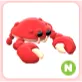 N Crab