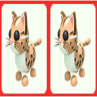 2x Leopard Cat