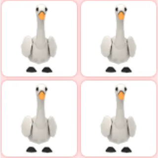 4x Swan