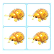 4x Golden Tortoise Beetle