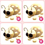 4x R Golden Ladybug