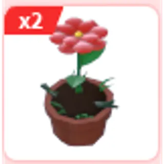 2x Growing Flower Hat
