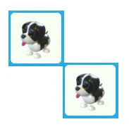 2x Black Springer Spaniel