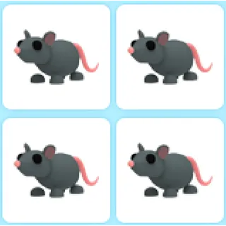 4x Rat