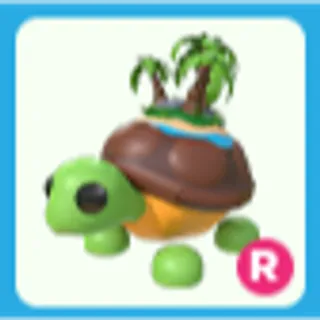 R Tortuga De La Isla