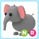 NR Elephant