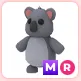 MR Koala