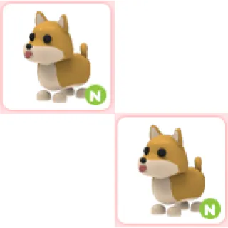 2x N Shiba Inu