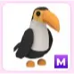 M Toucan