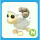 N Ram