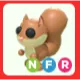 NFR Red Squirrel