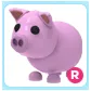 R Pig