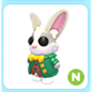 N Mr. Whiskerpips