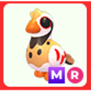 MR Partridge