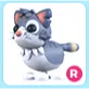 R Alley Cat