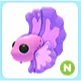 N Pink Betta Fish