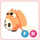 FR Cabbit