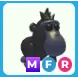 MFR Black Macaque