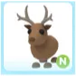 N Reindeer