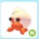 N Hermit Crab