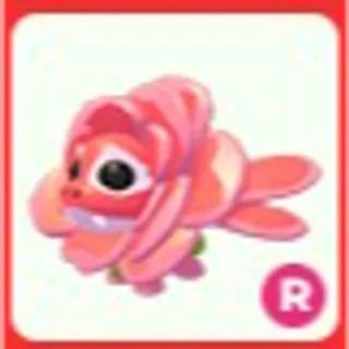 R Rose Dragon