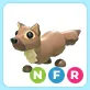 NFR Pine Marten