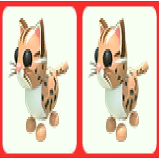 2x Leopard Cat