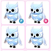 Pet | 4x Snow Owl