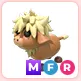 MFR Highland Cow