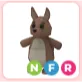 NFR Kangaroo