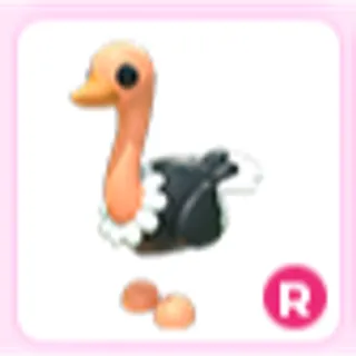 R Ostrich