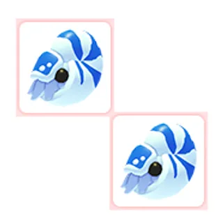 2x Nautilus