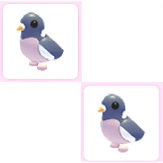2x Wood Pigeon