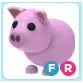 FR Pig