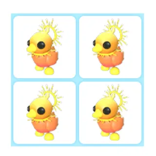4x Sunrise Duckling