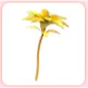 Golden Petunia