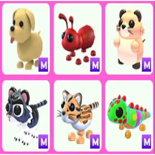 6x Mega Pets