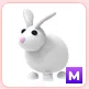 M Rabbit