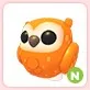 N Clementine Owl