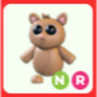 NR Tarsier